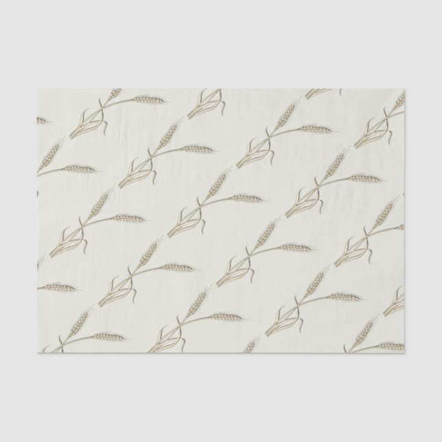 Papel De Seda relva de solteiro de casamento do país de trigo (Frente )