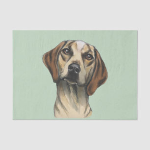Papel De Seda Rendição inquisidora do cão
