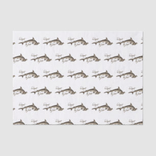 Papel De Seda Respeite a citação local de Hammerhead Shark Fun