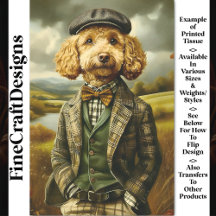 Retrato Do Poodle Farmer Na Desanexação CG5 Da Pai