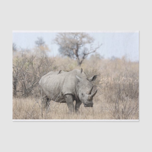 Papel De Seda Rhino Branco (Frente )