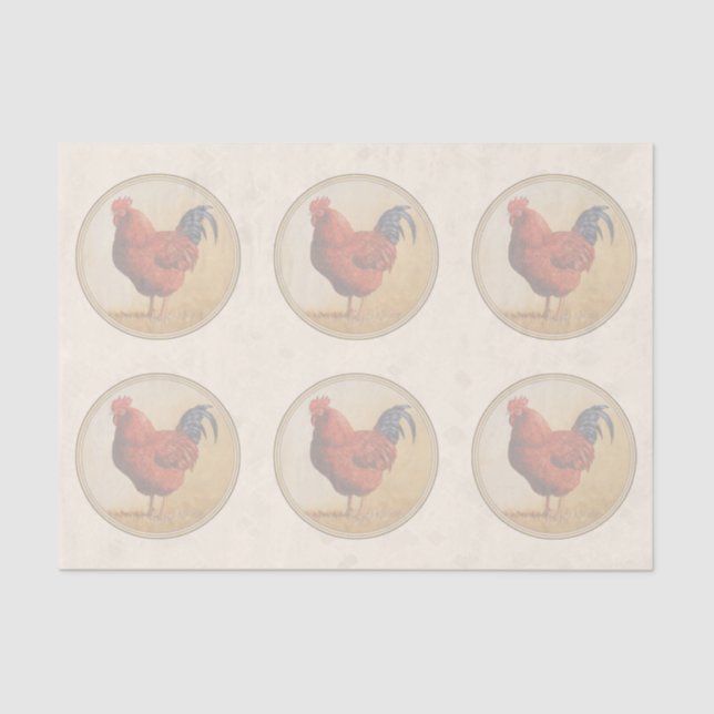 Papel De Seda Rhode Island Red Rooster Amarelo Fundo (Frente )
