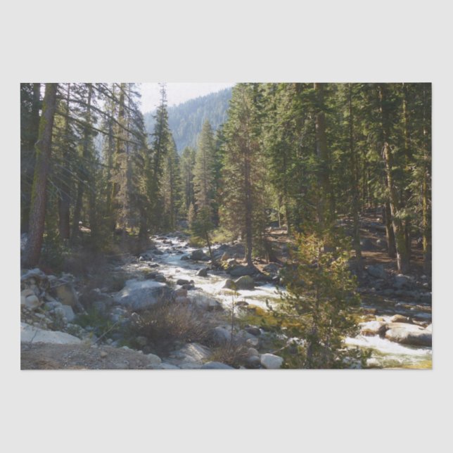 Papel De Seda Rio Kaweah no Parque Nacional de Sequoia (Frente )