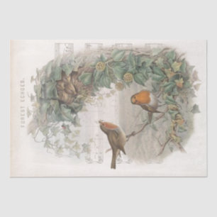 Papel De Seda Robin Bird Nest Vinha Desnute de Música Antiga