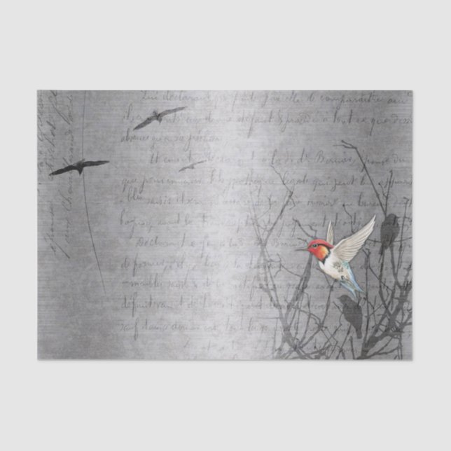 Papel De Seda Robin pega voo (Frente )