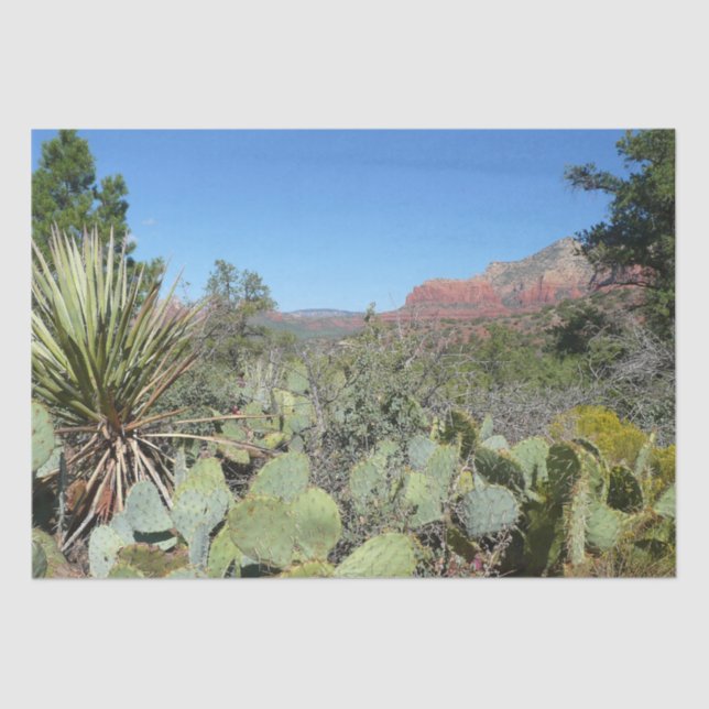 Papel De Seda Rochas Vermelhas e Cactos I (Frente )