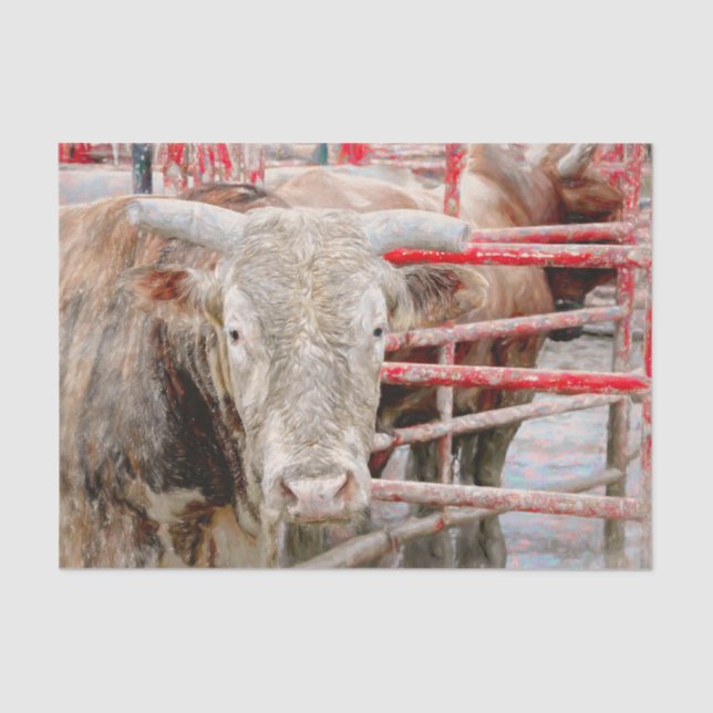 Papel De Seda Rodeo Bull País Russo Oeste (Frente )