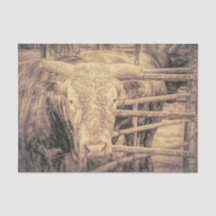 Rodeo Bull Rustic Vintage Antique País Ocidental