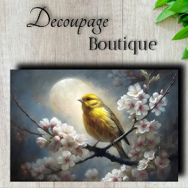 Papel De Seda Rojão Cantante ao Luar Pássaro Amarelo Decoupage