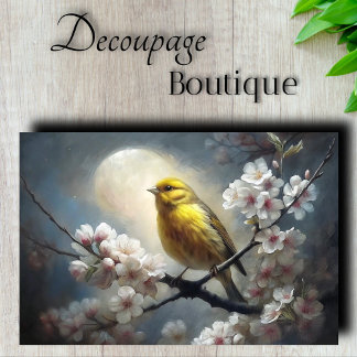 Papel De Seda Rojão Cantante ao Luar Pássaro Amarelo Decoupage