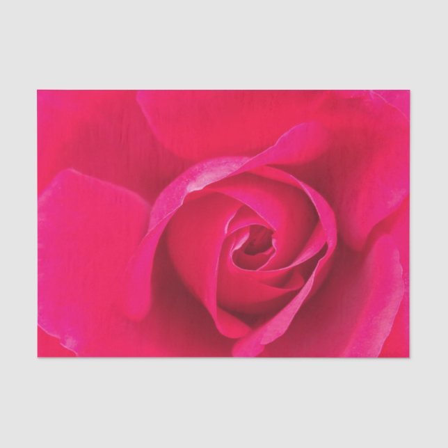 Papel De Seda Romântico Rosa Vermelho Rosa v2 (Frente )