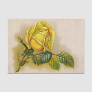 Papel De Seda Rosa Amarelo Antiquado Vintage Impressão de Arte F