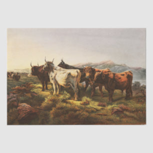 Papel De Seda Rosa Bonheur Manhã Após - Manhã em Highland
