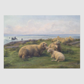 Papel De Seda Rosa Bonheur | Ovinos por Mar