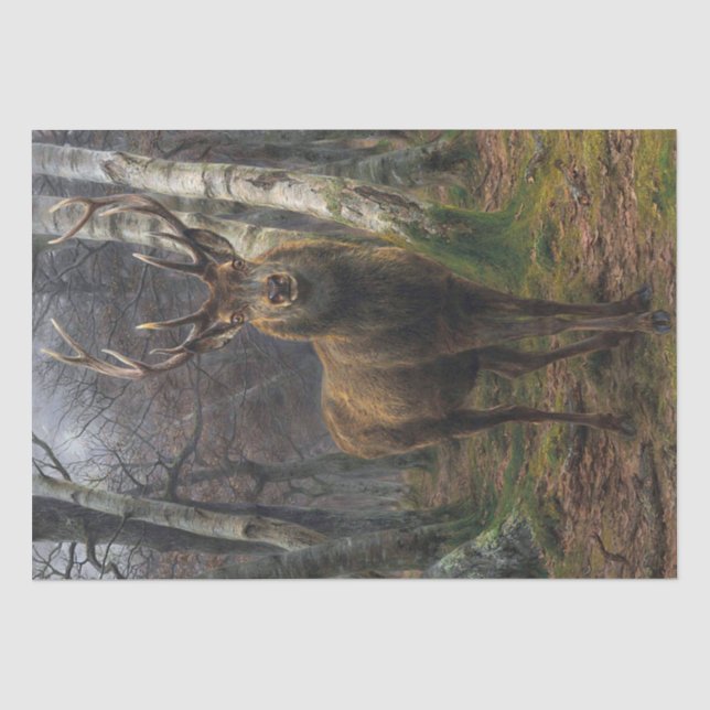 Papel De Seda Rosa Bonheur | Rei da Floresta (Frente )