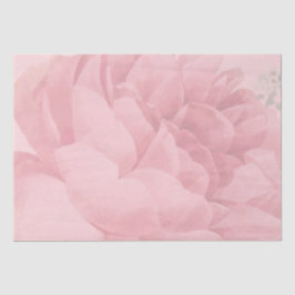 Papel De Seda Rosa Bonito Floral Cor-de-rosa-claro