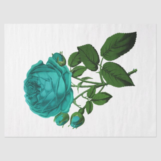 Papel De Seda Rosa da série 132 (Frente )