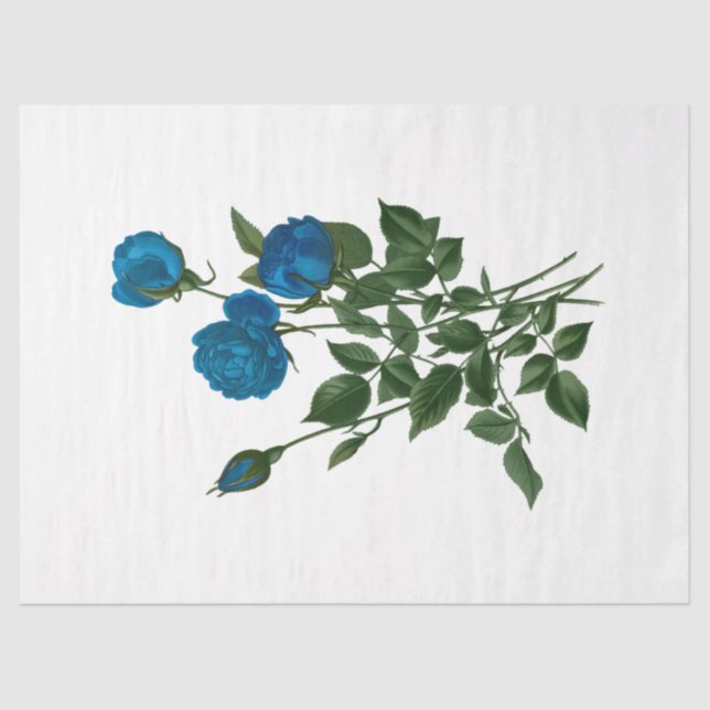 Papel De Seda Rosa da série Vintage 10 (Frente )