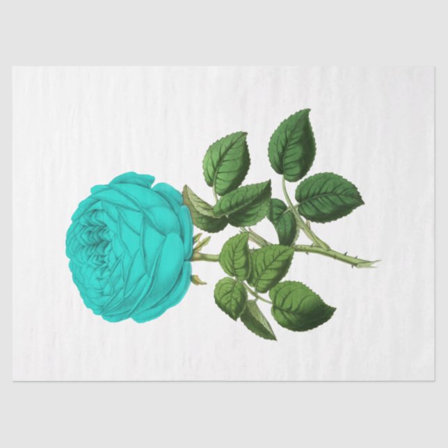 Papel De Seda Rosa da série Vintage 139 (Frente )