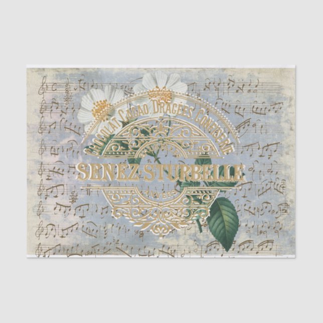 Papel De Seda Rosa de Chocolate Francês Música Ffloral Azul (Frente )