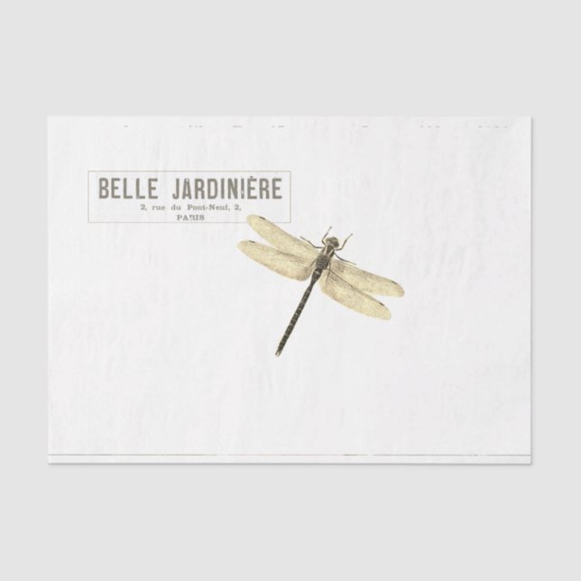 Papel De Seda Rosa Hummingbird Dragonfly Script Honeybee Francês (Frente )