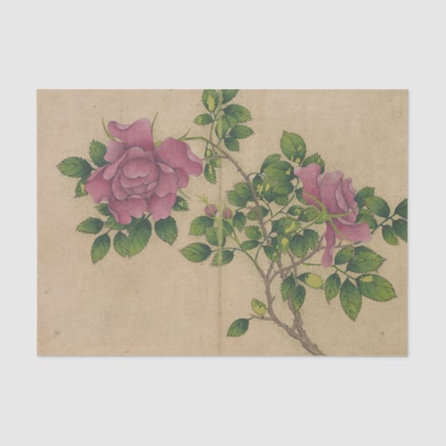 Papel De Seda Rosa por Zhang Ruoai (Frente )