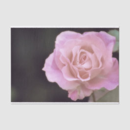 Papel De Seda Rosa rosa magnífica