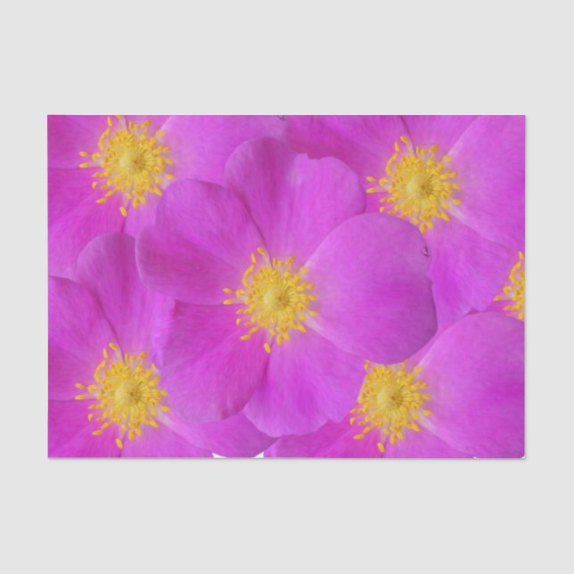 Papel De Seda Rosa selvagem 2 (Frente )