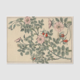 Papel De Seda Rosa Silvestre, Série Botânica de Eugene Grasset