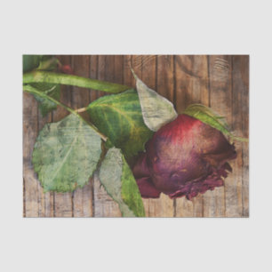 Papel De Seda Rosa vermelha Castanha Textura Rústica De Madeira 