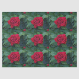 Papel De Seda Rosa Vermelha de Perto