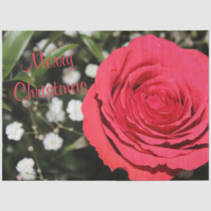 Papel De Seda Rosa vermelha Feliz Livro de Natal