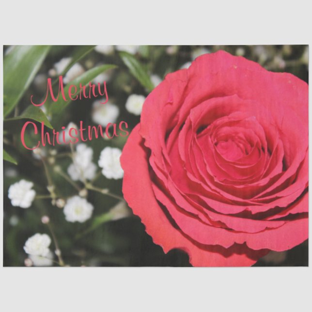 Papel De Seda Rosa vermelha Feliz Livro de Natal (Frente )