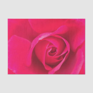Papel De Seda Rosa Vermelha Romântica v2