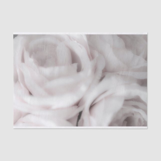 Papel De Seda Rosas Bege Branco Elegância Minimalista Casamento (Frente )