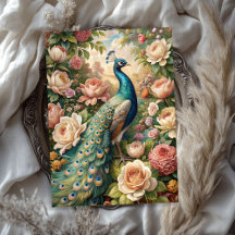 Rosas de pavão de chique com vinheta de aquarela