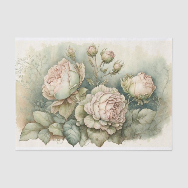 Papel De Seda Rosas de repolho com realces verdes (Frente )