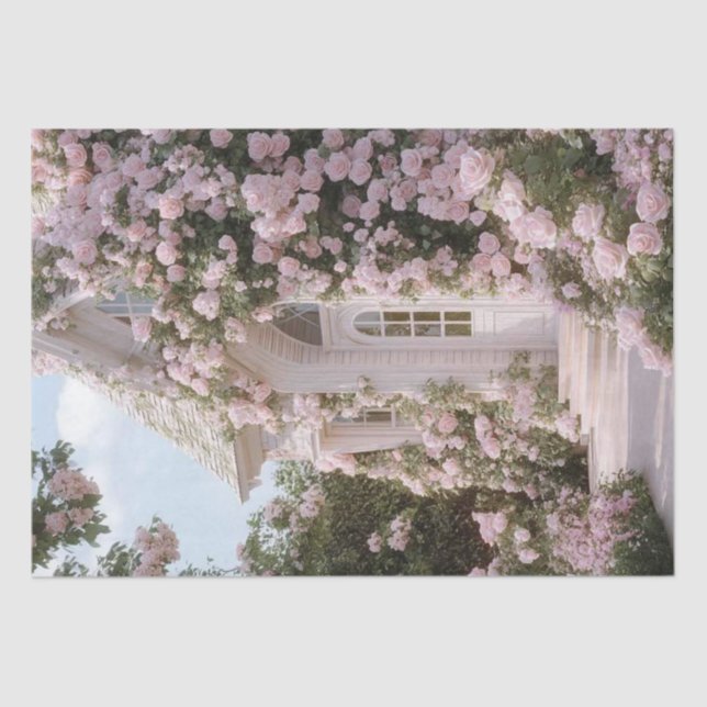 Papel De Seda Rosas de Subida Rosa Cor-de-Algodão Branco (Frente )