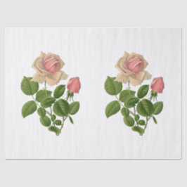 Papel De Seda Rosas Flores de Chá Rosa Vintage