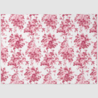 Rosas Românticos Antiguos Rosa-Rosa em Branco