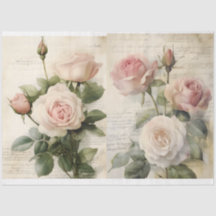 Rosas Rosa e Ephemera