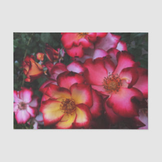 Papel De Seda Rosas selvagens