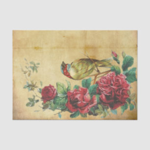 Papel De Seda Rosas vermelhas de Cheio maravilhosas com o pássar