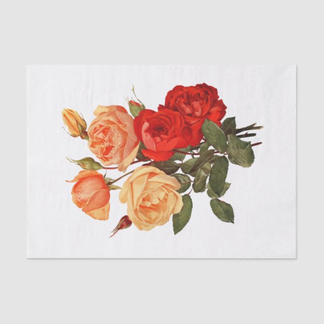 Papel De Seda Rosas Vermelhas Flores Florais de Pêssego Laranja (Frente )