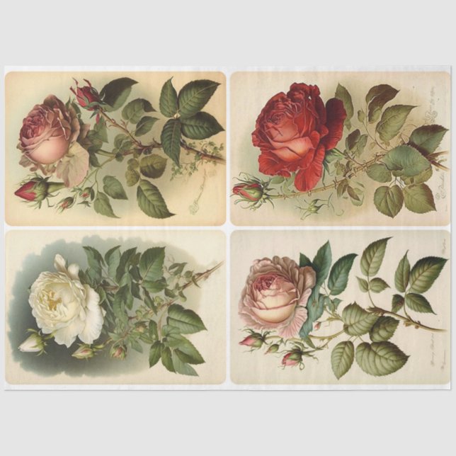 Papel De Seda Rosas Vintage (Frente )
