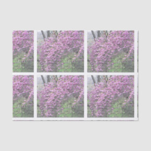 Papel De Seda Roteiro francês Decoupage da flor de cerejeira