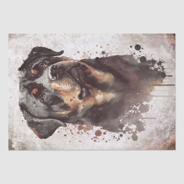 Papel De Seda Rottweiler Cachorro Aquarela (Frente )