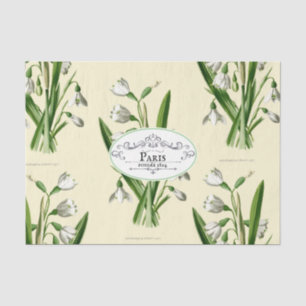 Papel De Seda Rótulo de Produto Oval de Escala de Neve Vintage A