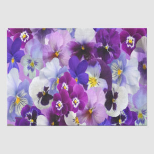 Papel De Seda Roxo Azul Branco Pansy Floral Flor Aniversário