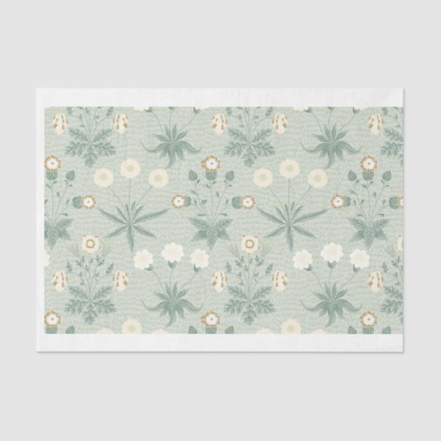 Papel De Seda Sage e Creme Floral (Frente )